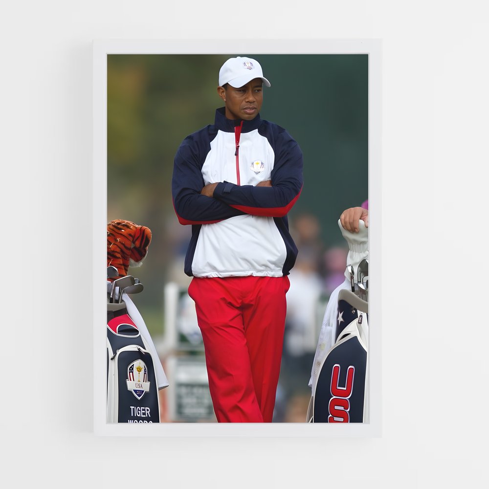 Poster Duel de Tigres – affiche Golf (vue 3)